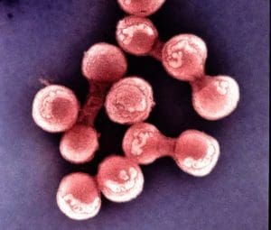 Meningitis Outbreak at University of Kent Claims Two Lives as Health Authorities Mobilise Response