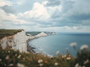 New Research Explores Social Innovation in Infectious Disease Prevention