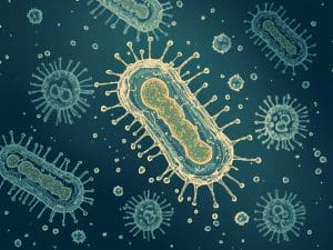 Scientists Engineer E coli to Transform Plastic Waste into Parkinson's Drug