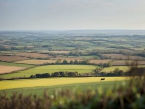 Historic Chequers Inn Landlords to Retire After 32 Years as Village Heartbeat