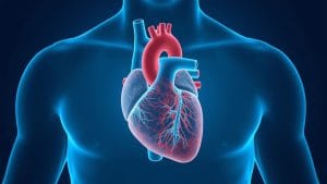 New Medical Review Highlights Latest Advances in Heart Valve Disease Treatment